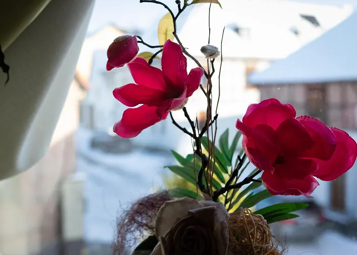 Apartamento Prinke *